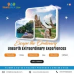 Travel Pulp’s extraordinary travel campaign, spotlighted in the B3 Advertising Agency project showcase for immersive brand storytelling.